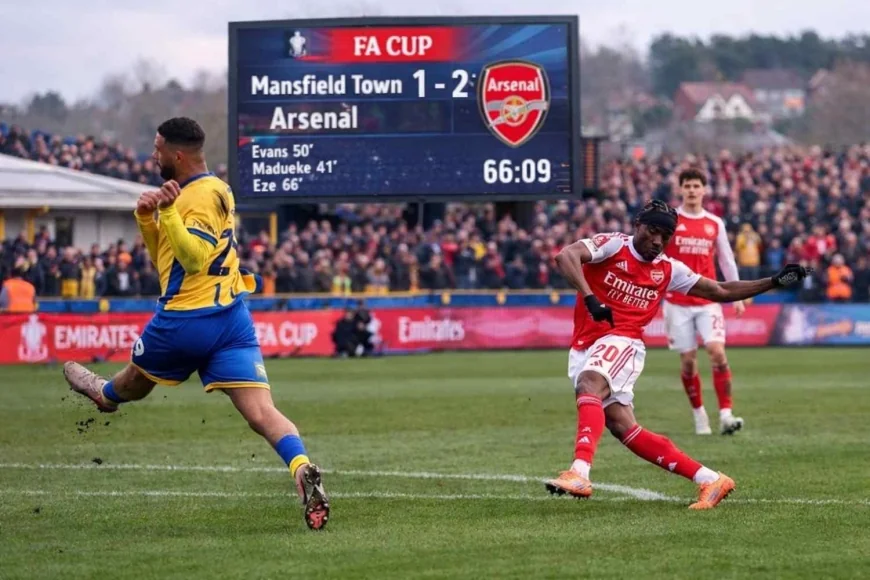 Mansfield 1–2 Arsenal: Madueke & Eze Goals Seal FA Cup Win